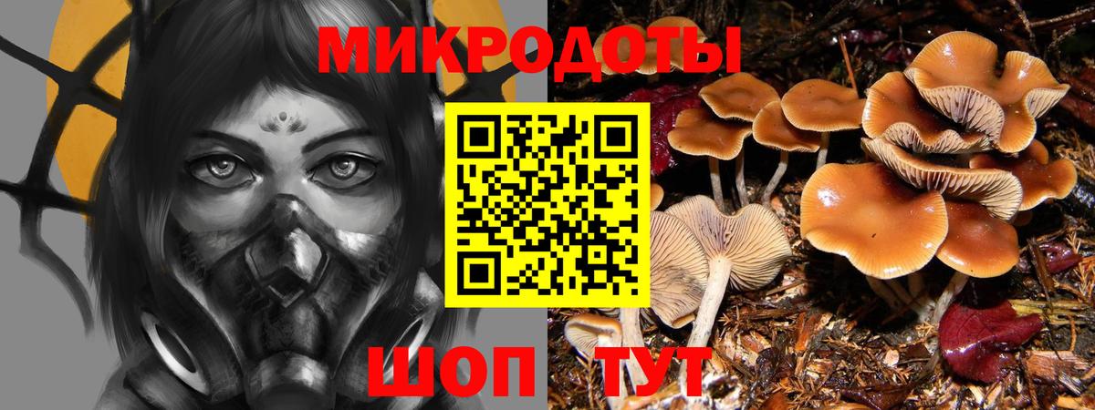 Псилоцибиновые грибы GOLDEN TEACHER Волгодонск