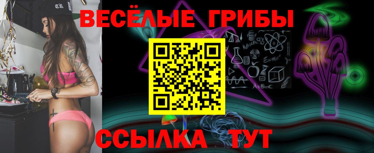 Волгодонск  Псилоцибиновые грибы мухоморы  Вход с VPN  наркошоп  Галлюциногенные грибы Psilocybe 